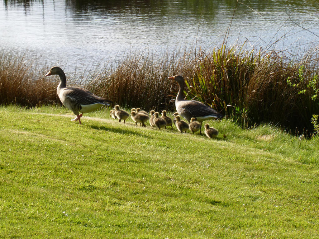 London Beach Country Hotel & Golf Club 텐터든 외부 사진